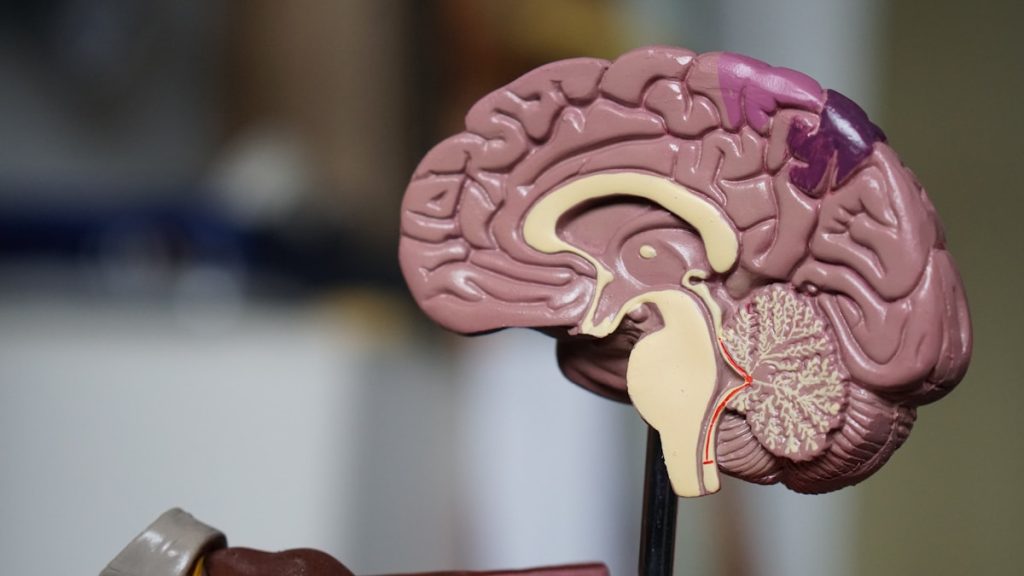 Inteligencia Artificial en el Diagnóstico por Imagen: La Revolución que Está Transformando la Radiología